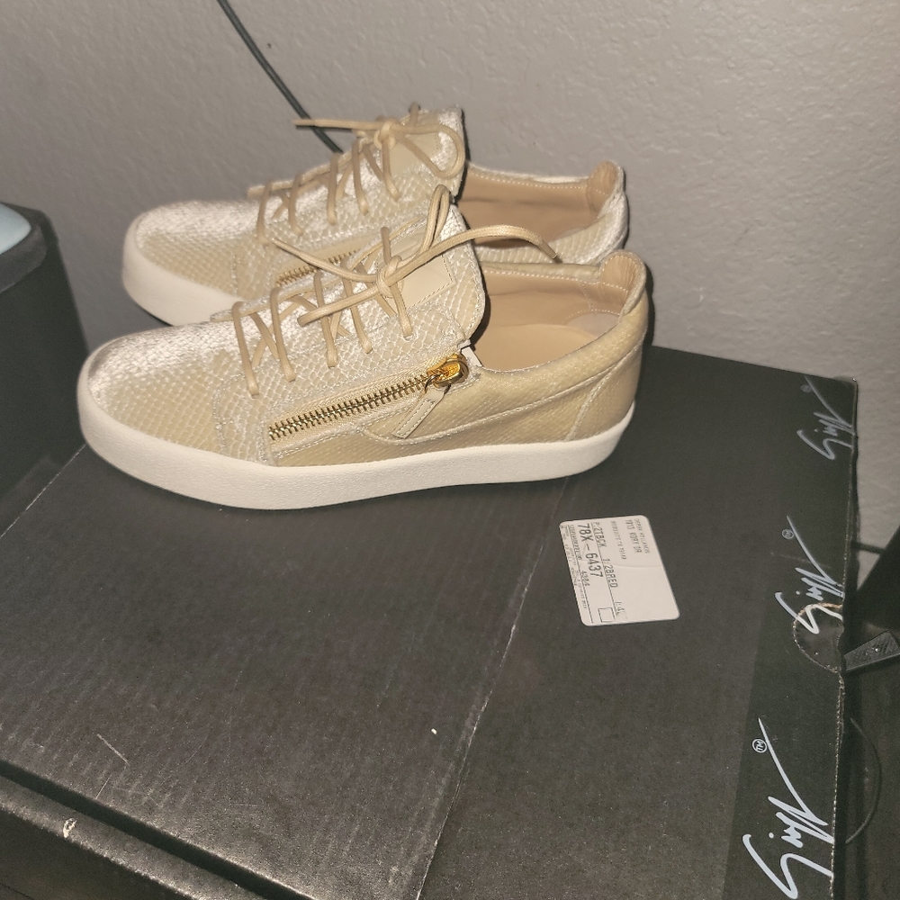 giuseppe zanotti